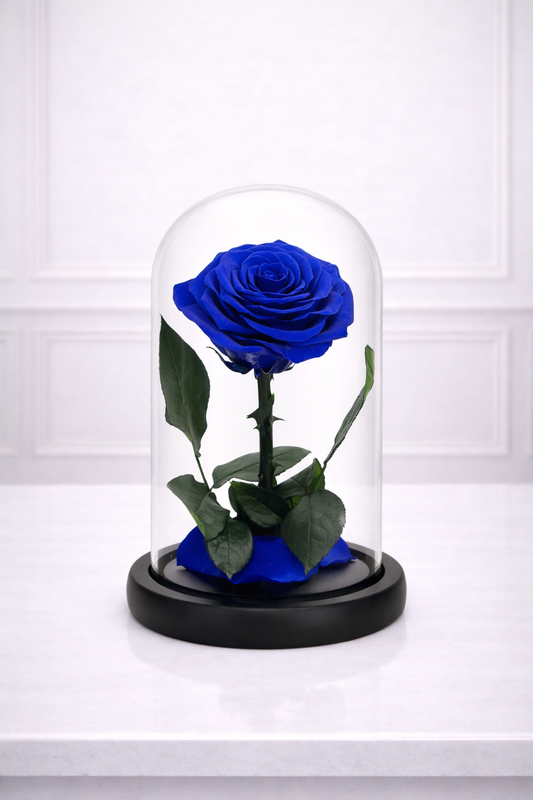 Preserved Rose Blue