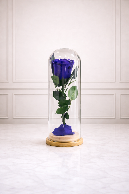 Preserved Rose Blue
